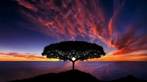 Afro House Mix 2020 with Black Coffee | Da Capo | Manoo | Themba | Caiiro - "KLSdj - African Child"