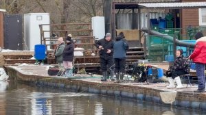 Поимки форели !!!