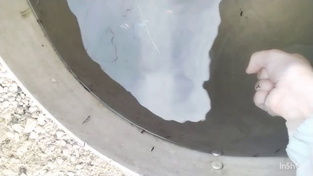 Эксперемент в ваде чашка лейка рука mp4