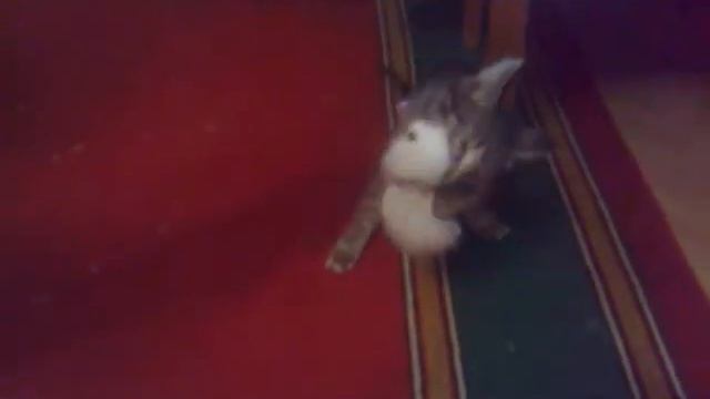 Сама доброта - Тигруша смотреть онлайн