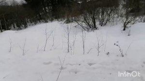 Вот так и живём... Вторая половина марта 2025 года