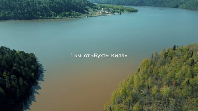 Ролик