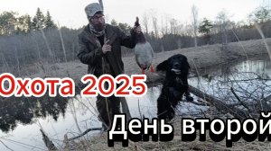 Охота с подсадной уткой 2025