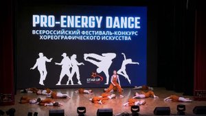 Один день из жизни сурикатов