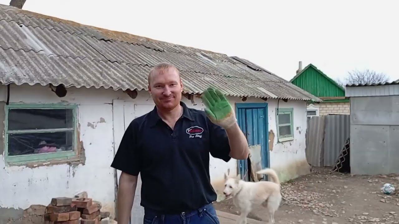 Переехали на Юг/Посадили  саженцы винограда и ежевику.