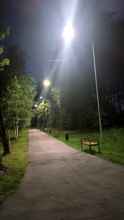 Летний вечер в парке