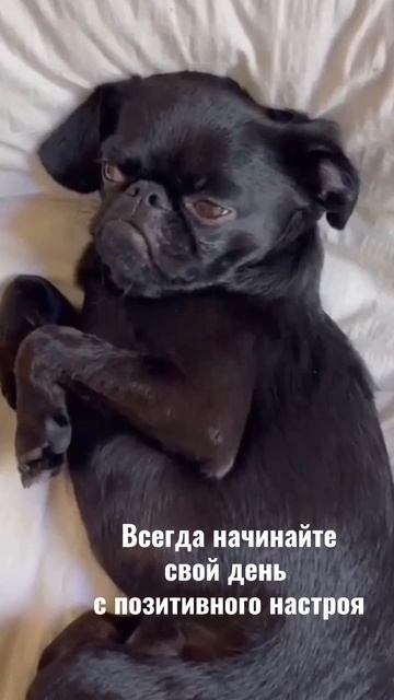 Всегда начинайте день с позитивного настроя! )