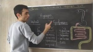 ЖКТ ДВИГАТЕЛЬНАЯ ФУНКЦИЯ