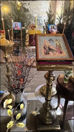 С Вербным Воскресеньем. Счастья, мира, добра.