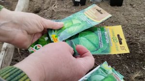 Посев поздней капусты на рассаду. Обзор теплицы и участка.