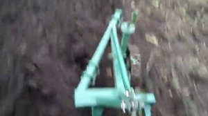 Feng Shou 180-3  пахата