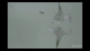 Ани Лорак - Спроси