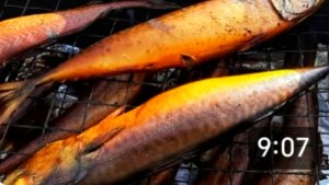 Деревня. Коптим рыбу. Ищем Бакса. Главный помощник с нами.