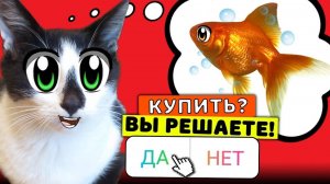 ПОДПИСЧИКИ УПРАВЛЯЮТ МОЕЙ ЖИЗНЬЮ! КОТ И КОШЕЧКА МУРКА ДЕЛАЮТ ВСЕ 24 ЧАСА!  А ну-ка давай-ка