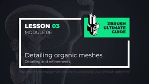 6-3 Detailing organic meshes