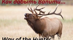 Мясо по-бургундски