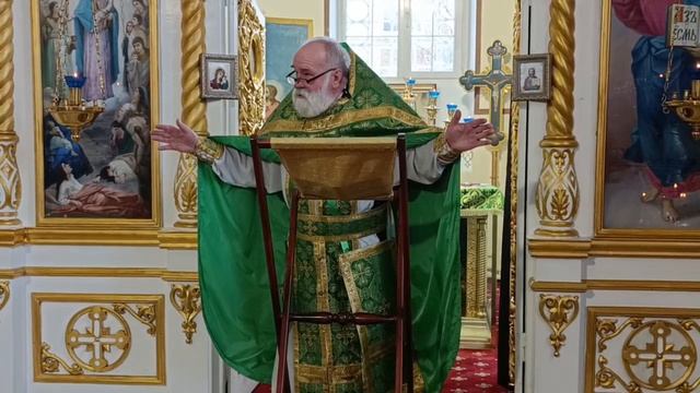 Проповедь отца Владимира в Неделю ваий. Вход Господень в Иерусалим смотреть онлайн