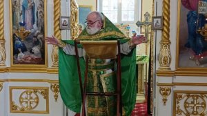 Проповедь отца Владимира в Неделю ваий. Вход Господень в Иерусалим