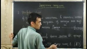 ЭНДОКРИННАЯ СИСТЕМА.. ПОДЕЖЛУДОЧНАЯ