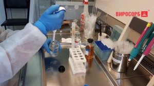 8. Элюция (часть 4)