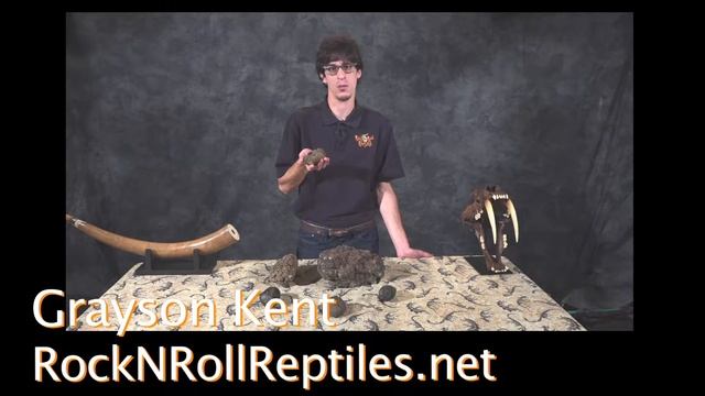 Rock & Roll Reptiles Promo Video - Coprolites (Fossil Poo) смотреть онлайн
