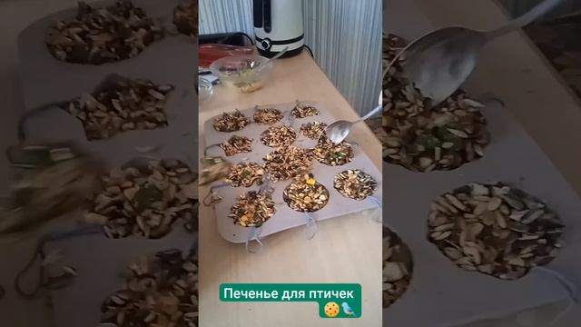 Делаем печенье для птичек 🍪🐦 #питомцы #помощь #животные #печенье #приют #спасение #еда #кулинария