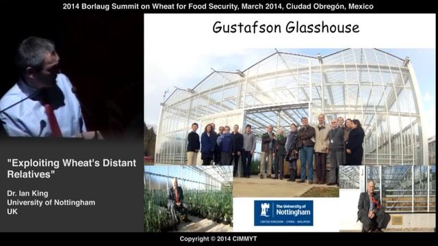 Exploiting Wheat's Distant Relatives by Ian King (UK) смотреть онлайн