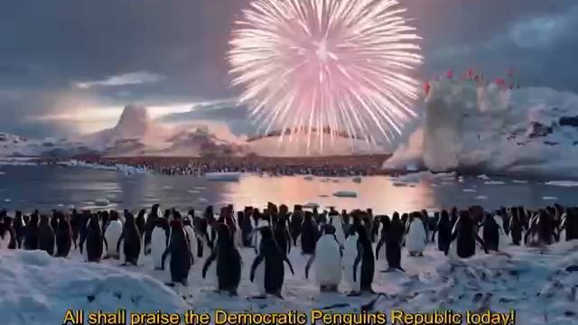 пингвины вперед