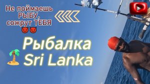 Рыбалка за 0$ на Шри-Ланке\Fishing for $0 in Sri Lanka\在斯里兰卡钓鱼0 0