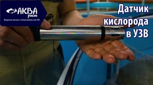 Датчик кислорода в УЗВ #акварост #бизнесидея #белуга #акваферма #рыбныйбизнес #рыба