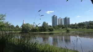 БЫЛО БОЛЬНО, НО ПРИШЛОСЬ ТЕРПЕТЬ ДО КОНЦА. Истории из жизни рассказы. Неверная жена