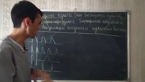 33 СЕРДЦЕ АРТЕРИАЛЬНЫЙ ПУЛЬС