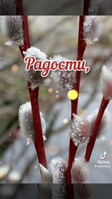 всех с вербным воскресеньем. и подписчиков 127. смотреть онлайн