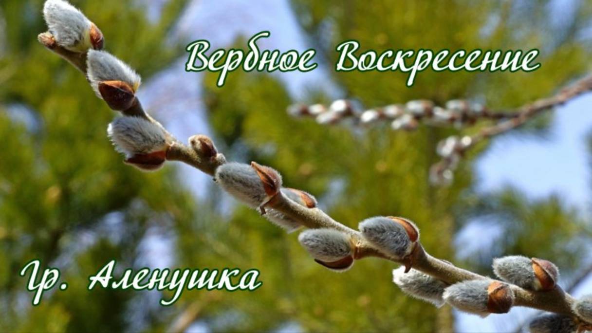 ♪ Вербное Воскресение