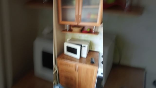 видео квартира