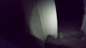 ВАСЯ БОЙКО ЧЛОМАЛ НЛГУ