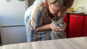 Норильск/ Братья наши меньшие.