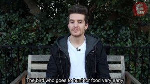 English Proverbs: The Early Bird Catches The Worm