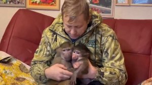 Люська-ЗАБОТУШКА , чтобы папа Влад без нее делал???