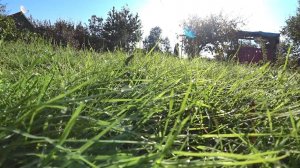 Влог : Едем на нашу дачу / Только нужное и необходимое сейчас.