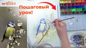 Рисуем синичку на ветке вербы. Пошаговый урок по акварели от школы Артилайк
