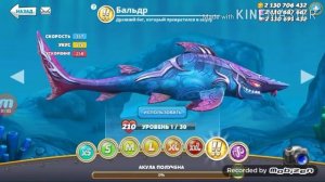 Обзор на всех акул в Hungry Shark World