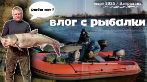 ВЛОГ: где вся Астраханская рыба?