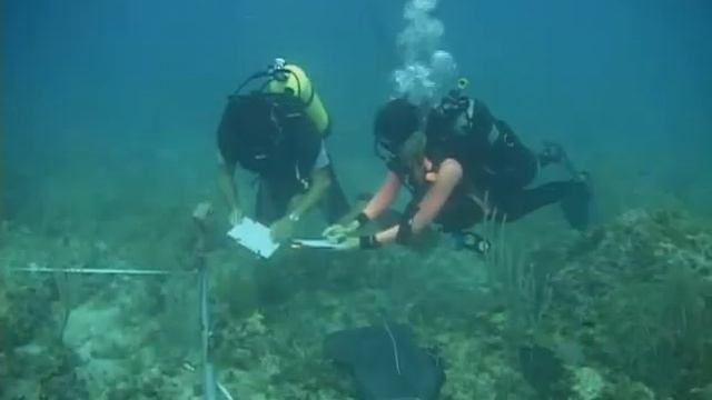 Waterways Episode 255 - Water Quality Monitoring AND Testing Keys Canals смотреть онлайн