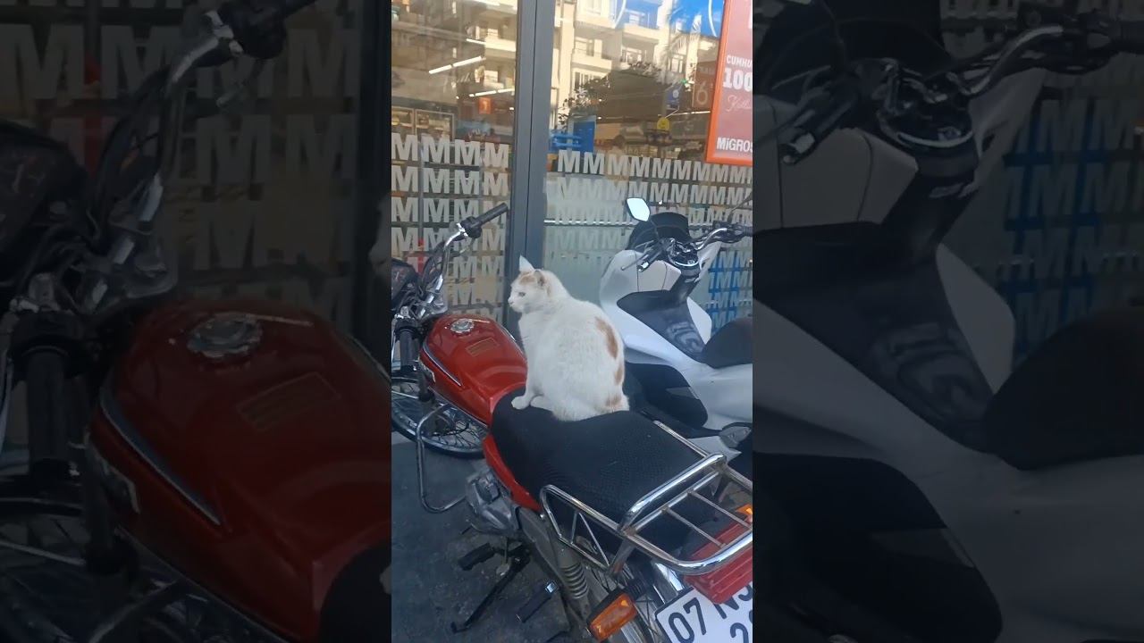 Байкеры в Махмутларе. Аланья. Турция. #аланья #махмутлар #турция