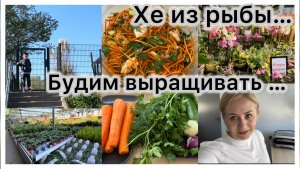 Хозяйственный магазин, выбираю рассаду 🌱   Закупка продуктов 🛒 Хе из красной рыбы 🥙  прогулка