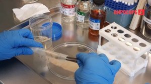 6. Элюция (часть 2)