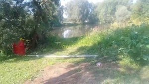 Грецкий орех 2023..Третий сезон грецкого ореха.На третий сезон появились почки