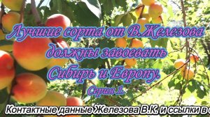 Лучшие сорта от В.Железова должны завоевать Сибирь и Европу. Серия 1.