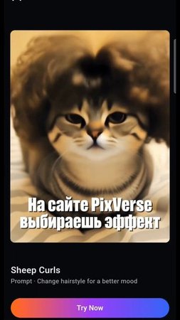 Бесплатный эффект смены прически
